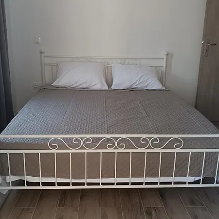 Azalea * Андрос